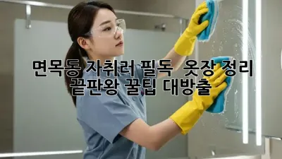 면목동 자취러 필독! ✨ 옷장 정리 끝판왕 꿀팁 대방출 🧥🧦